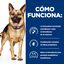 10 kg Hill's Prescription Diet Gastrointestinal Biome Pollo pienso para perros, , large indicador imagen numero 3